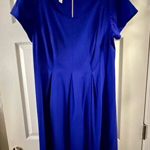 Elegant Blue Women's Dress 14